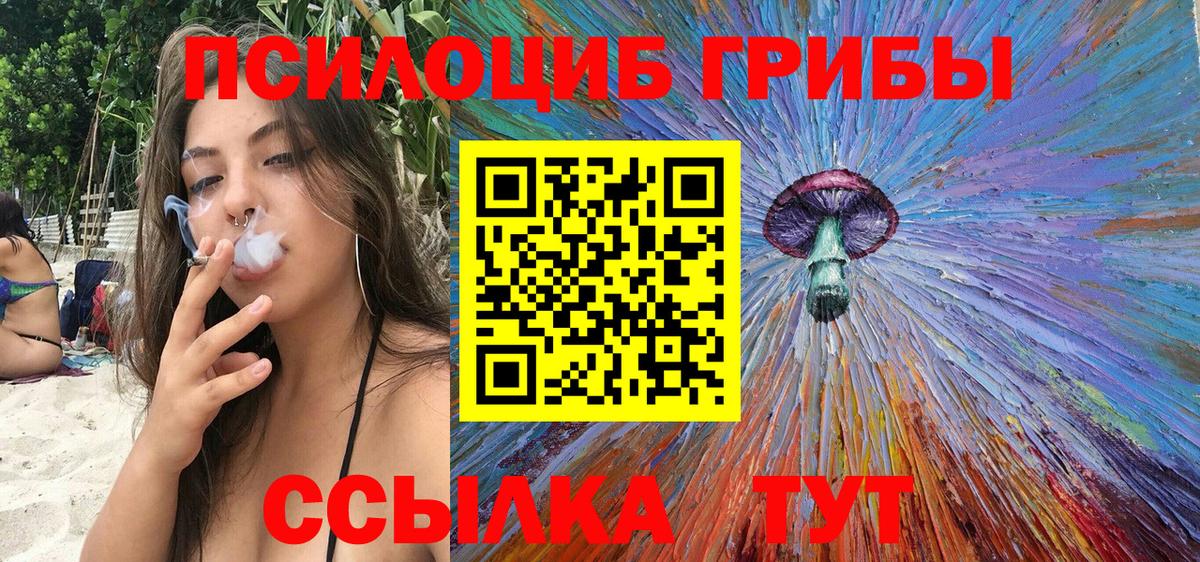 Псилоцибиновые грибы мицелий Железноводск